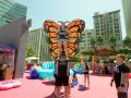 IMG 7521